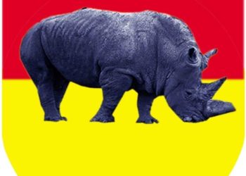 Army debunks report alleging shooting of women protesters in Adamawa