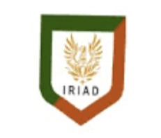 IRIAD Calls For Action As Nigeria Marks International Day Against Violence On Women