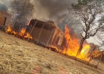 Troops of OPFY Neutralize Terrorists, Destroy Support Bases in Isa and Bingi