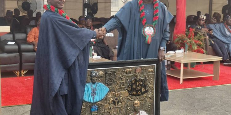 WASA Preserves Our Identity And Strengthens National Unity – President Tinubu