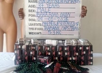 Octogenarian ex-convict rearrested as NDLEA busts mannequin drug trafficking syndicate, makes sweeping seizures nationwide