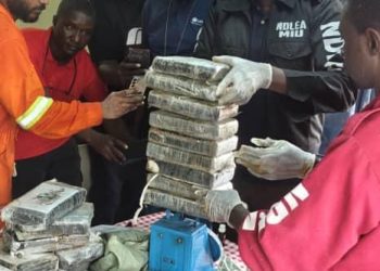 Coffee sachets, cargo ships and motor parks exposed as NDLEA nets cocaine and skunk in coordinated raids