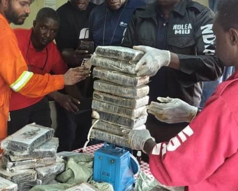 Coffee sachets, cargo ships and motor parks exposed as NDLEA nets cocaine and skunk in coordinated raids
