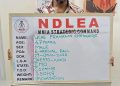 NDLEA Cracks Down Hard as Brazil Returnee and Nearly 10 Tons of Cannabis Alongside 12,500 Pentazocine Ampoules Are Seized Across Nigeria