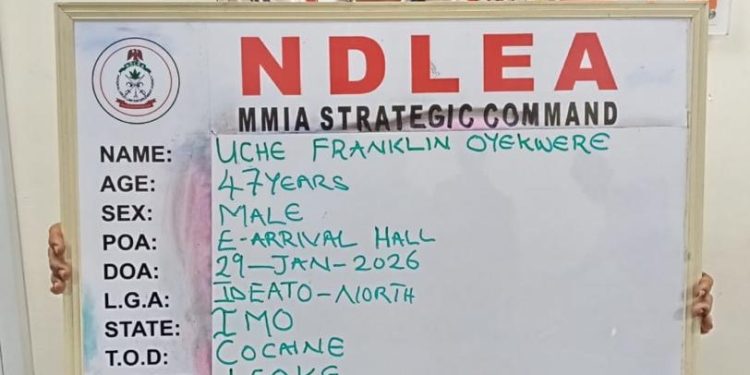 NDLEA Cracks Down Hard as Brazil Returnee and Nearly 10 Tons of Cannabis Alongside 12,500 Pentazocine Ampoules Are Seized Across Nigeria