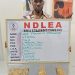 NDLEA Cracks Down Hard as Brazil Returnee and Nearly 10 Tons of Cannabis Alongside 12,500 Pentazocine Ampoules Are Seized Across Nigeria