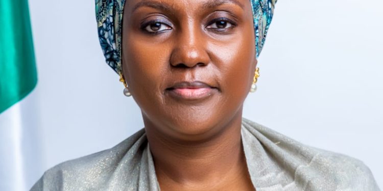 NEMA moves in as emergency team assesses humanitarian needs after bandit attack in Kwara communities