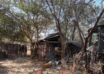 Troops Penetrate Timbuktu Triangle, Destroy ISWAP Detention Camps, Free Over 70 Captives