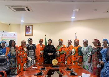 NAWOJ Recognises Minister Imaan Suleiman-Ibrahim for Advancing Women’s Political Representation