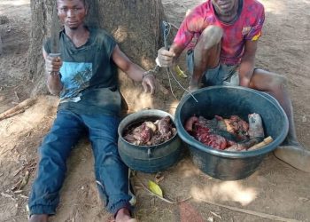 Operation Whirl Stroke records fresh victories as troops neutralise bandit, arrest suspects and recover arms in Benue and Nasarawa