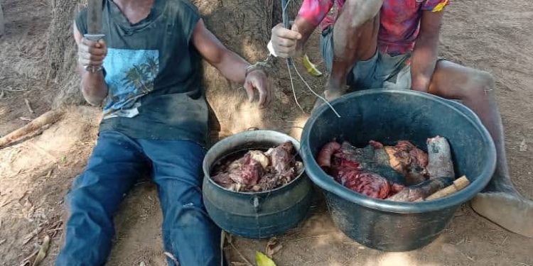 Operation Whirl Stroke records fresh victories as troops neutralise bandit, arrest suspects and recover arms in Benue and Nasarawa