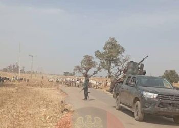 Troops Recover 529 Rustled Livestock After Fierce Gun Battle in Katsina