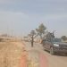 Troops Recover 529 Rustled Livestock After Fierce Gun Battle in Katsina