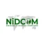 NiDCOM Applauds Nigerians’ Historic 2026 Grammy Triumphs, Calls It a Moment of Collective Pride