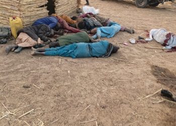 Troops Repel ISWAP Attacks, Kill Scores, Destroy Gun Trucks In Fierce North-East Battles