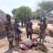 Troops dismantle criminal networks in Benue ahead of farming season