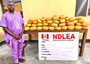 NDLEA Busts Ex-Lagos Councillor, Uncovers Drugs Hidden in Baby Diapers and Seizes IED Components in Nationwide Crackdown  