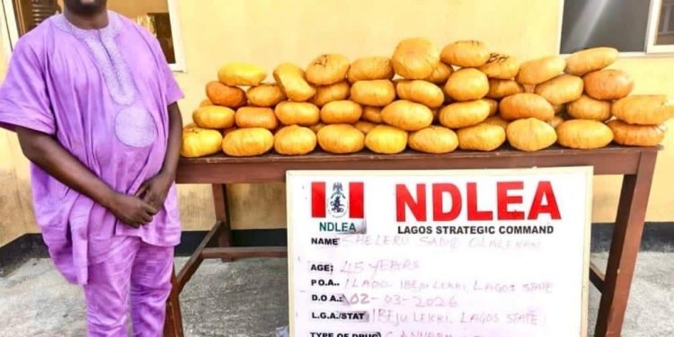 NDLEA Busts Ex-Lagos Councillor, Uncovers Drugs Hidden in Baby Diapers and Seizes IED Components in Nationwide Crackdown  