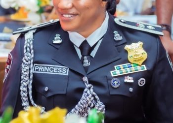 Merit Over Tribe? Police Officer Praises IGP Disu’s Postings As Signal Of Professional Policing
