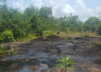 Nigerian Navy destroys illegal crude oil storage site in Bonny under Operation Delta Sentinel