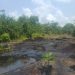 Nigerian Navy destroys illegal crude oil storage site in Bonny under Operation Delta Sentinel