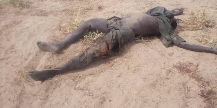 Over 20 ISWAP insurgents Neutralized as OPHK foils coordinated attack in Goniri