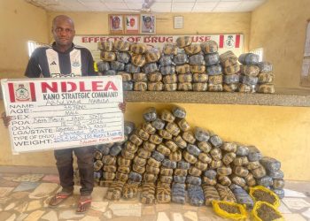 NDLEA foils drug trafficking plots, seizes opioids concealed in cream, jackets at Lagos airport