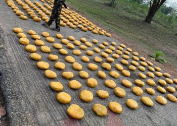 Troops of 35 Artillery Brigade Foils Major Drug Haul, Seizes 296 Cannabis Wraps in Ogun