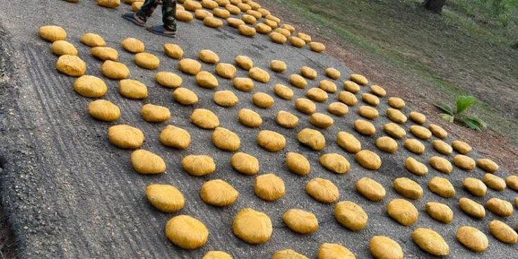 Troops of 35 Artillery Brigade Foils Major Drug Haul, Seizes 296 Cannabis Wraps in Ogun