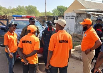 NEMA records incident-free Eid operations in Adamawa, commends inter-agency collaboration