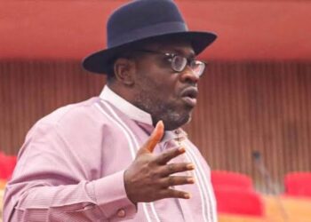 “NDC will challenge and defeat the big parties” — Senator Seriake Dickson dismisses APC proxy claims