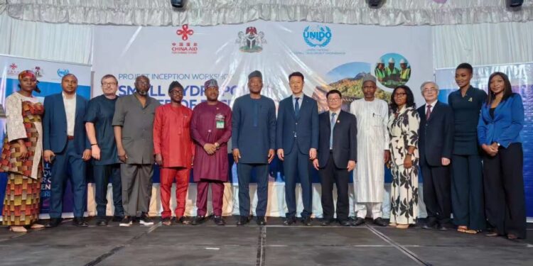 China, Nigeria, UN launch Small Hydropower Centre of Excellence to boost Africa’s energy resilience