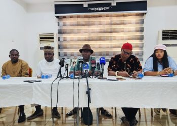 US-Based Developer Alleges Land Dispute, Cyberbullying, and Armed Intimidation in Anambra Community