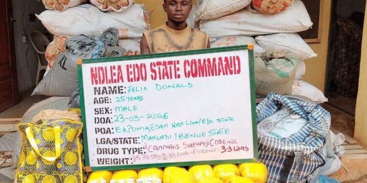 NDLEA intercepts cocaine hidden in dry fish heads, arrests 80-year-old suspect and busts multiple drug syndicates