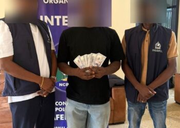 Police arrest suspect over $550,000 transnational fraud, identity theft and money laundering case