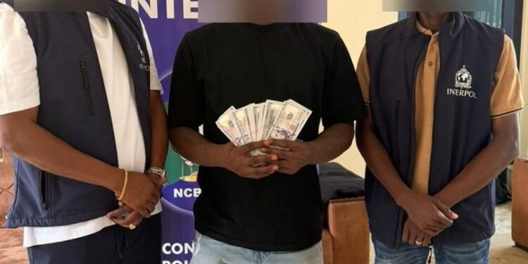 Police arrest suspect over $550,000 transnational fraud, identity theft and money laundering case