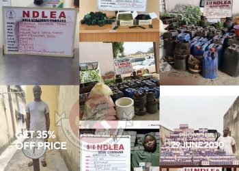 NDLEA arrests fugitive drug kingpin after 13 years, uncovers meth lab in Imo and seizes massive drug consignments nationwide