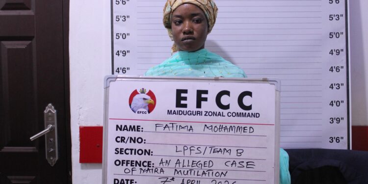 EFCC arrests woman in Maiduguri over alleged naira mutilation