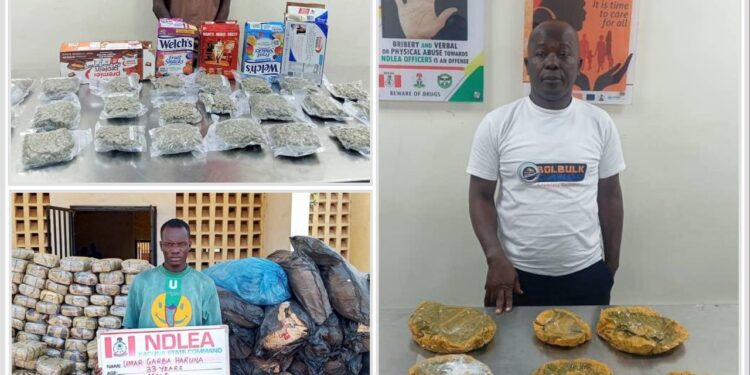 NDLEA intercepts cocaine concealed in food flasks at Lagos airport, arrests fashion designer and other suspects