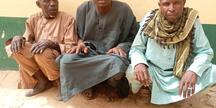 Troops of OPHK arrest terrorist informants, logistics suppliers in sweeping North-East operations