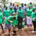 COWA Targets 1,000 Trees in One Hour with Nationwide Green Campaign