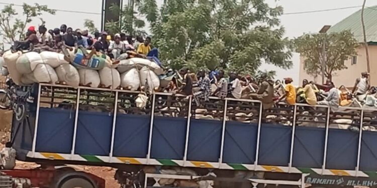FRSC intercepts vehicles carrying over 100 passengers, animals and goods in Kaduna crackdown