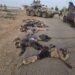Troops Repel Midnight Terror Attack in Kukareta, Neutralise 24, Recover Heavy Weapons