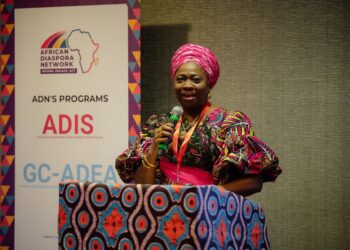 Nigeria offers vast investment opportunities, Dabiri-Erewa tells diaspora leaders in US