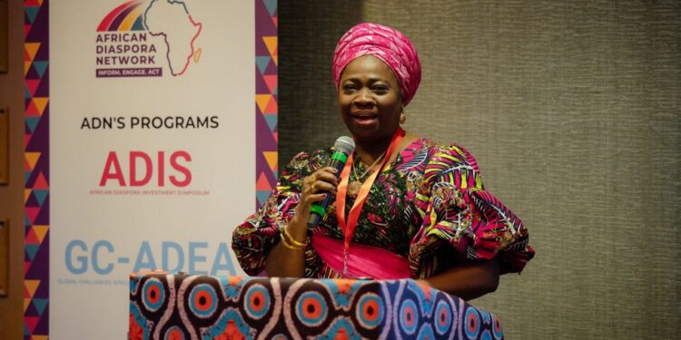 Nigeria offers vast investment opportunities, Dabiri-Erewa tells diaspora leaders in US
