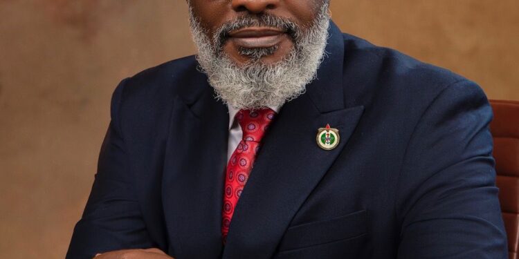President Tinubu Appoints Ex-Military Intelligence Chief Famadewa As Homeland Security Adviser