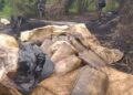 Nigerian Navy Destroys Illegal Refining Network, Recovers 184,000 Litres Of Suspected AGO In Rivers