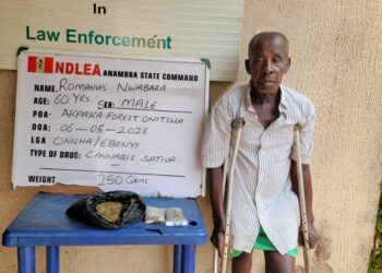 NDLEA Uncovers Massive Cannabis Warehouse in Lagos, Nabs Three PWDs in Drug Raids