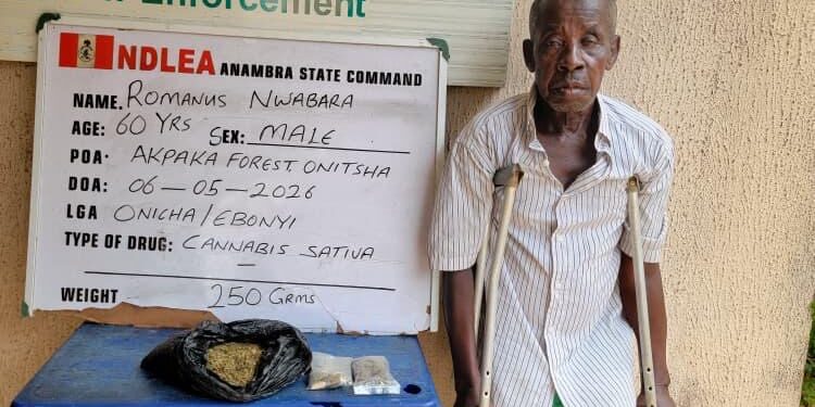 NDLEA Uncovers Massive Cannabis Warehouse in Lagos, Nabs Three PWDs in Drug Raids