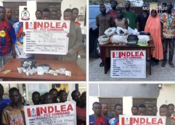 NDLEA Busts Abuja Drug Networks, Arrests 132 Suspects, Seizes 220kg Illicit Substances